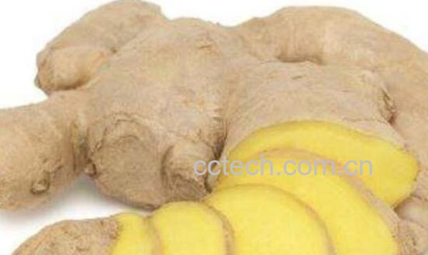 生姜和南姜有什么不同 南姜怎么吃-0