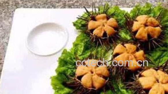 为什么海胆弄开没有黄 海胆没有黄怎么处理-1