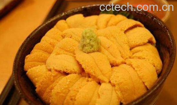 海胆怎么吃有营养价值 海胆不能和什么一起吃-0