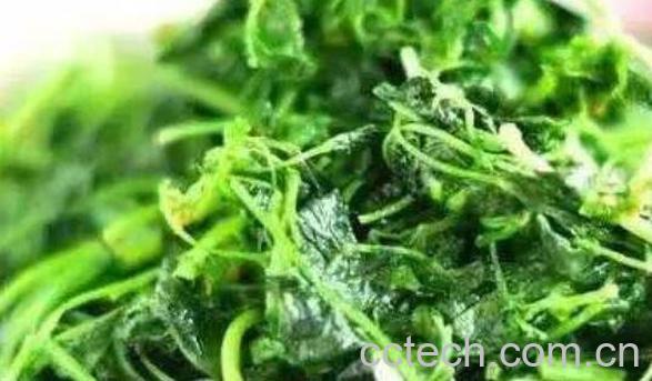 草籽菜有什么功效 草籽菜怎么吃-1
