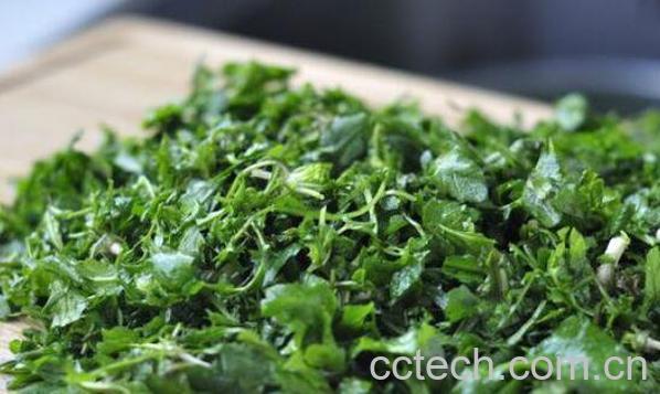 荠菜的功效与作用 荠菜的食用禁忌-1