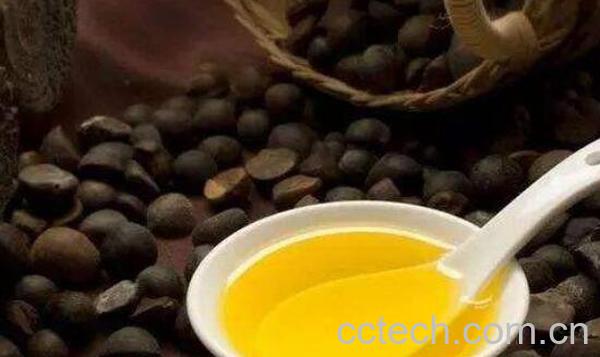 茶油擦脸的功效与作用-0