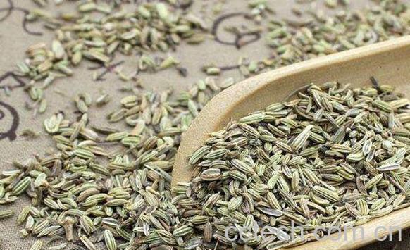 茴香籽怎么吃 茴香籽的最佳食用方法-0