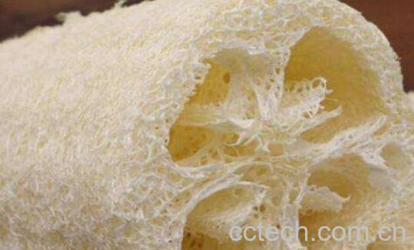 丝瓜瓤的功效与作用 丝瓜络煮水的功效-0