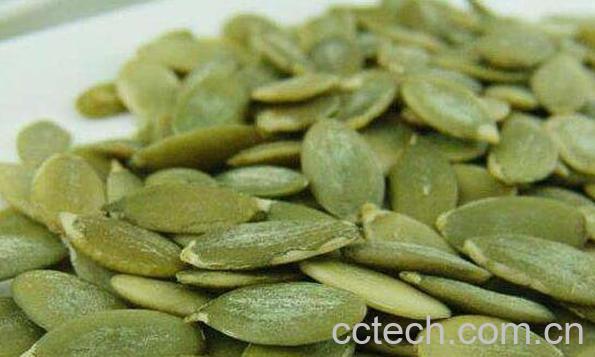 南瓜子油的作用与功效-1