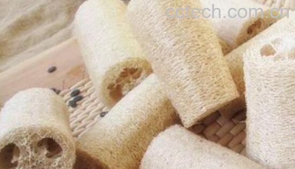 丝瓜瓤的功效与作用 丝瓜络煮水的功效-1