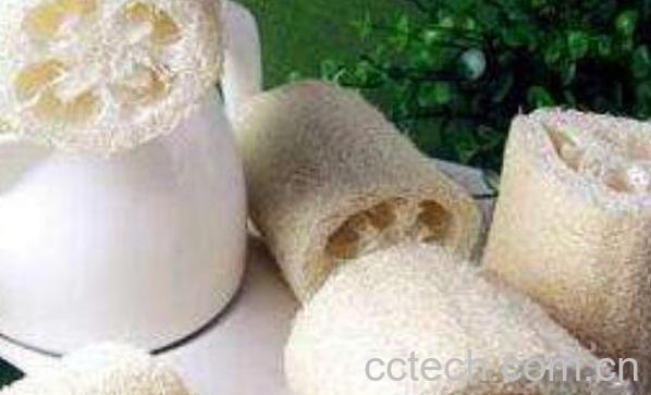 老丝瓜络煮水喝的功效 丝瓜瓤煮水喝的功效-0