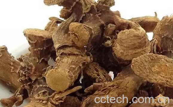 高良姜的食用方法 高良姜的食用禁忌-0