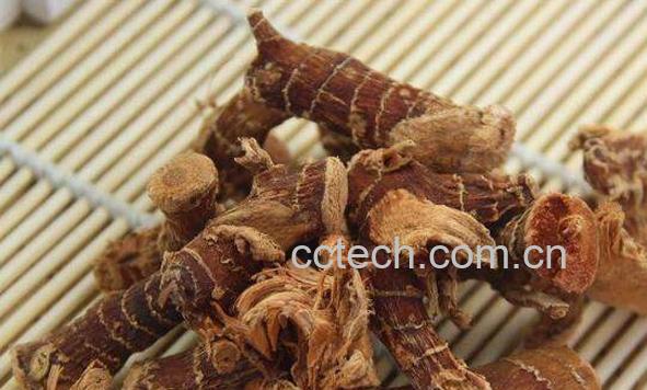 高良姜的食用方法 高良姜的食用禁忌-1