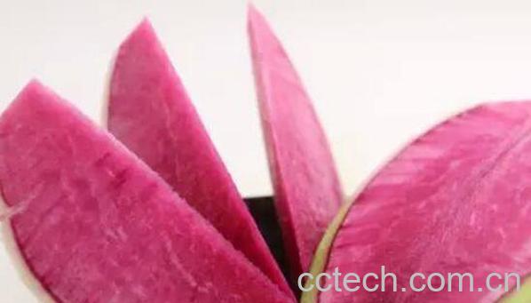 心里美萝卜的功效与作用有哪些-0