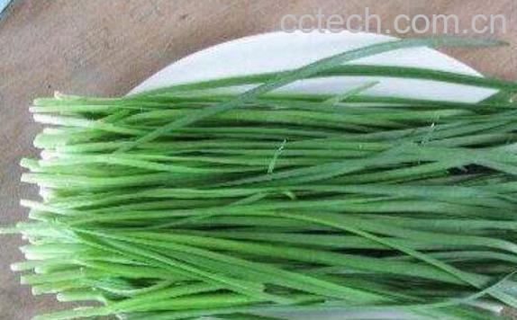 艽菜的功效与作用-0