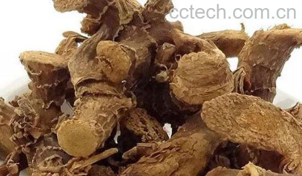 高良姜的功效与作用 高良姜的副作用-1