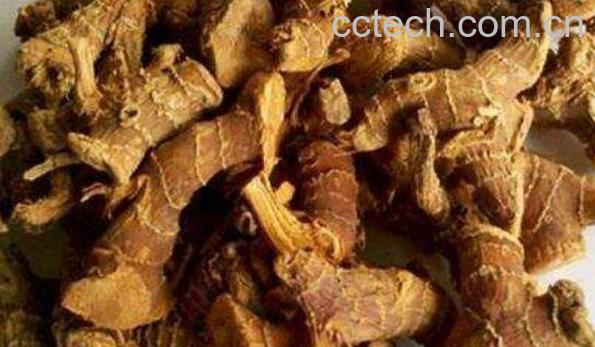 高良姜与干姜的区别-0