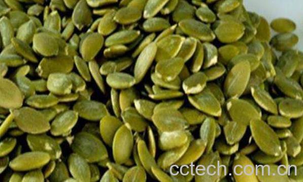 南瓜子仁的功效与作用及禁忌-1