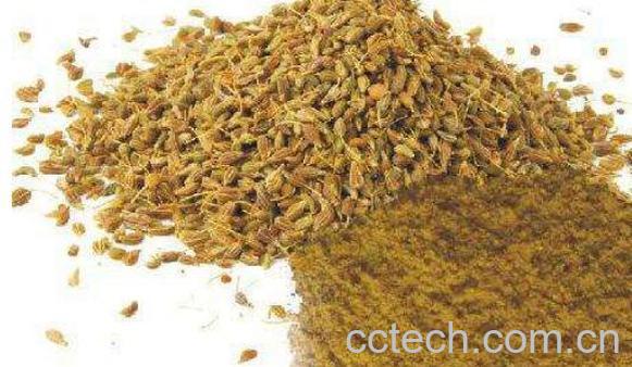 孜然粉怎么用 孜然粉的功效与作用-1