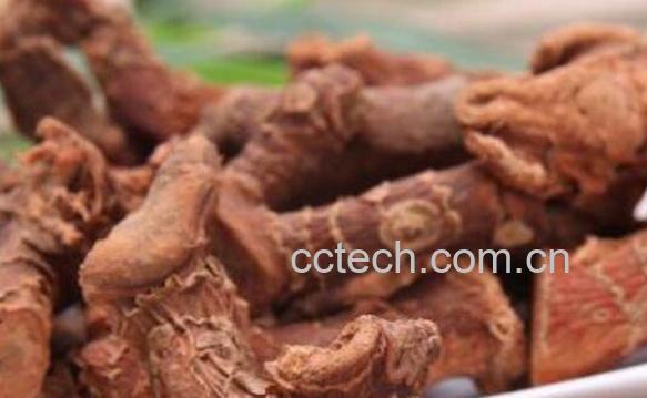  高良姜和生姜的区别-0