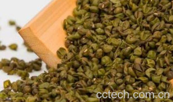 绿豆皮枕头的功效与作用 用绿豆做枕头好吗-0