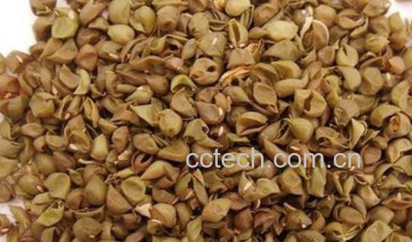 绿豆皮枕头的害处有哪些 绿豆皮枕头怎么保养-0