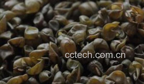 绿豆皮枕头的害处有哪些 绿豆皮枕头怎么保养-1