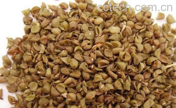 绿豆皮枕头的功效与作用 用绿豆做枕头好吗-1