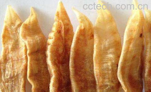 鱼胶对胃的功效与作用 鱼胶怎么吃养胃-0