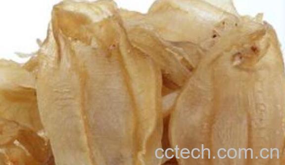 鱼胶对胃的功效与作用 鱼胶怎么吃养胃-1