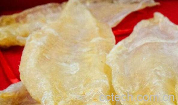  鳘鱼胶的功效与作用-0