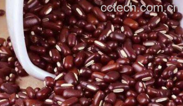 赤小豆的功效与作用 吃赤小豆的好处-0