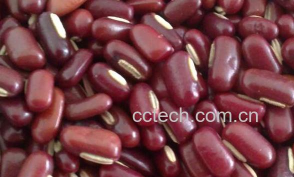 赤小豆的功效与作用 吃赤小豆的好处-1