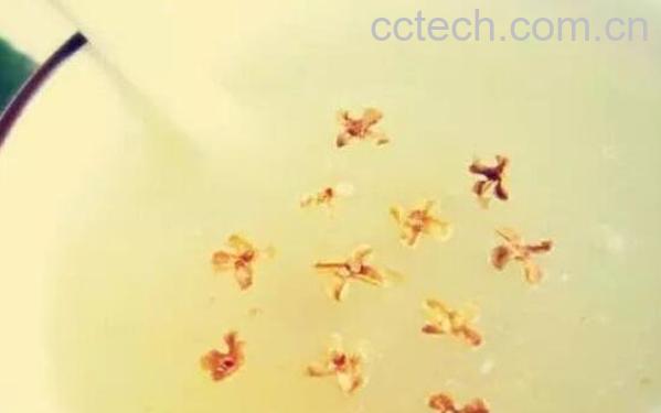 藕粉怎么冲才最好喝 藕粉怎么冲成透明状-0