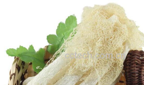 竹荪怎么吃 竹荪的家常做法大全-0