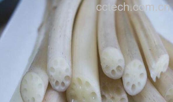 藕尖的功效与作用 产妇吃藕尖有什么好处-1