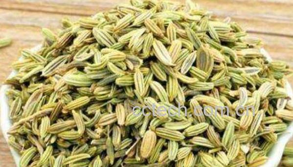 小茴香籽怎么使用 小茴香籽的食用方法-0