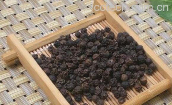 黑胡椒的功效与作用-1