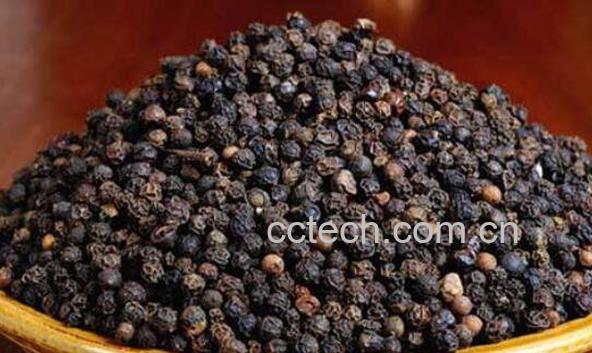 黑胡椒的功效与作用-0