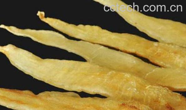 金龙鱼胶是什么 金龙鱼胶的功效与作用-1