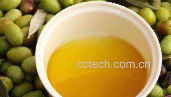 茶叶子油的功效与作用-0