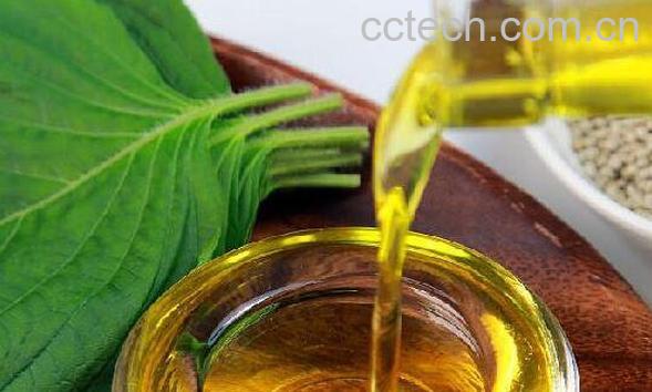 紫苏籽油的功效与作用 紫苏籽油的副作用-0