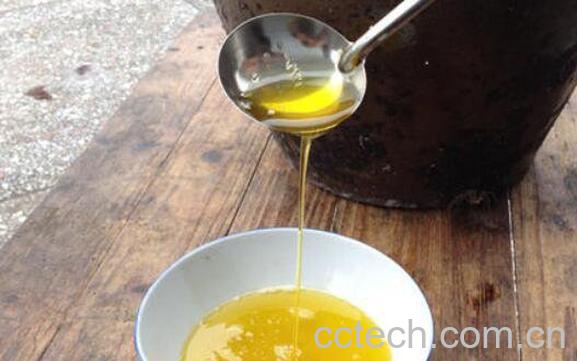 山茶油怎么食用 山茶油的食用方法-1