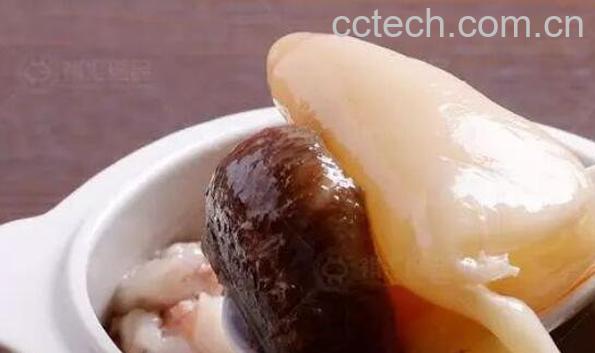 鱼肚和鱼泡的区别 鱼肚的营养价值-0