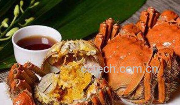 大闸蟹怎么保存 大闸蟹怎么保鲜-0