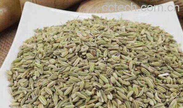 怎样炒茴香籽 茴香籽的功效与作用-0