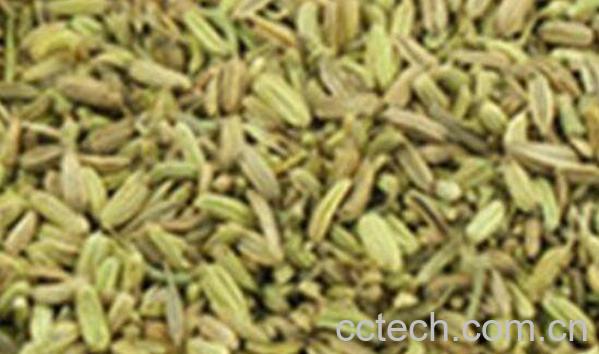 怎样炒茴香籽 茴香籽的功效与作用-1