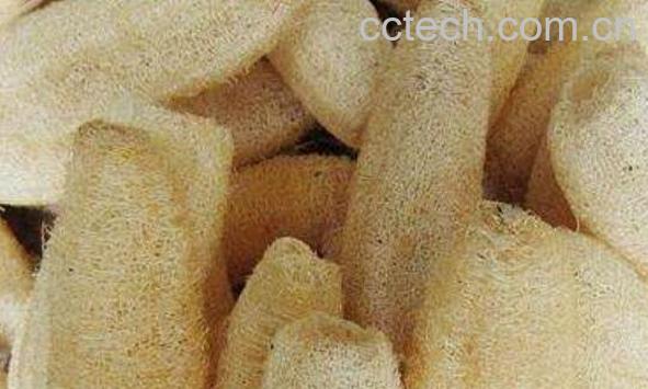 丝瓜瓤的功效与作用 丝瓜瓤煮水喝的功效-1