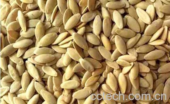 黄瓜籽的功效与作用 吃黄瓜籽的好处-0