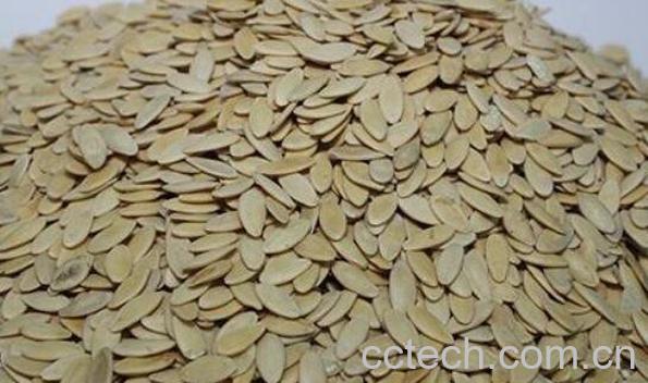 黄瓜籽的功效与作用 吃黄瓜籽的好处-1