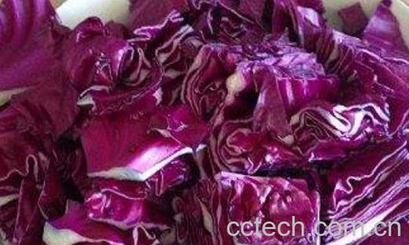 紫甘蓝怎么吃 紫甘蓝的功效与作用-0