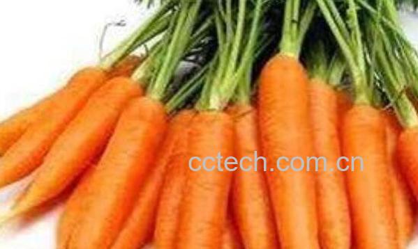 胡萝卜怎么吃 胡萝卜的功效与作用-1