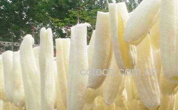 丝瓜络的功效与作用 丝瓜络的药用价值-0