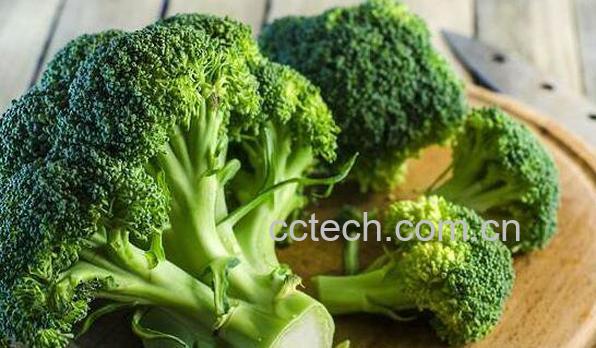 西兰花怎么吃 西兰花的功效与作用-1